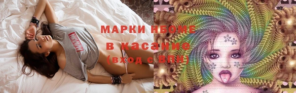 бошки Инта