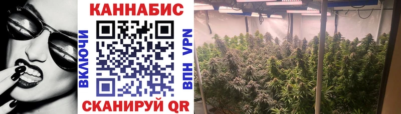 Шишки марихуана VHQ  Купить закладки  Киржач 